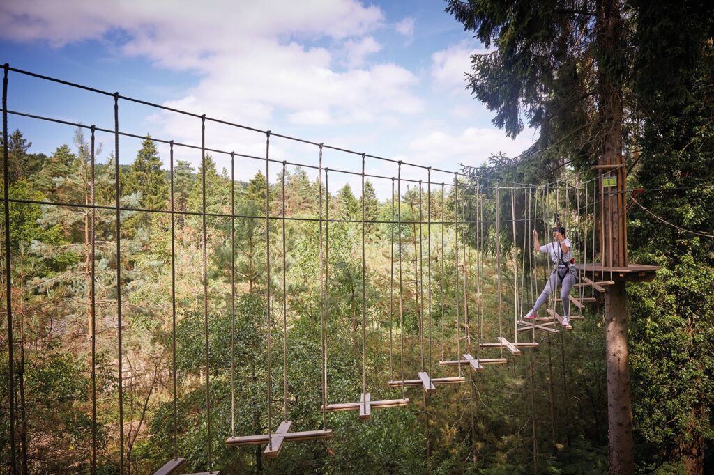 go-ape-unknown-location-woman-crossed-wires-1613x1075
