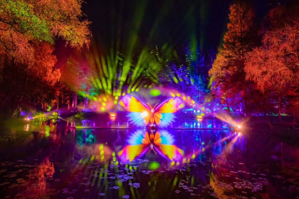 SMac_Enchanted_Forest_Faskally_Woods_Pitlochry_60824327-thzr4wvv-1536x1024